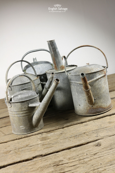 Vintage Galvanised Watering Cans
