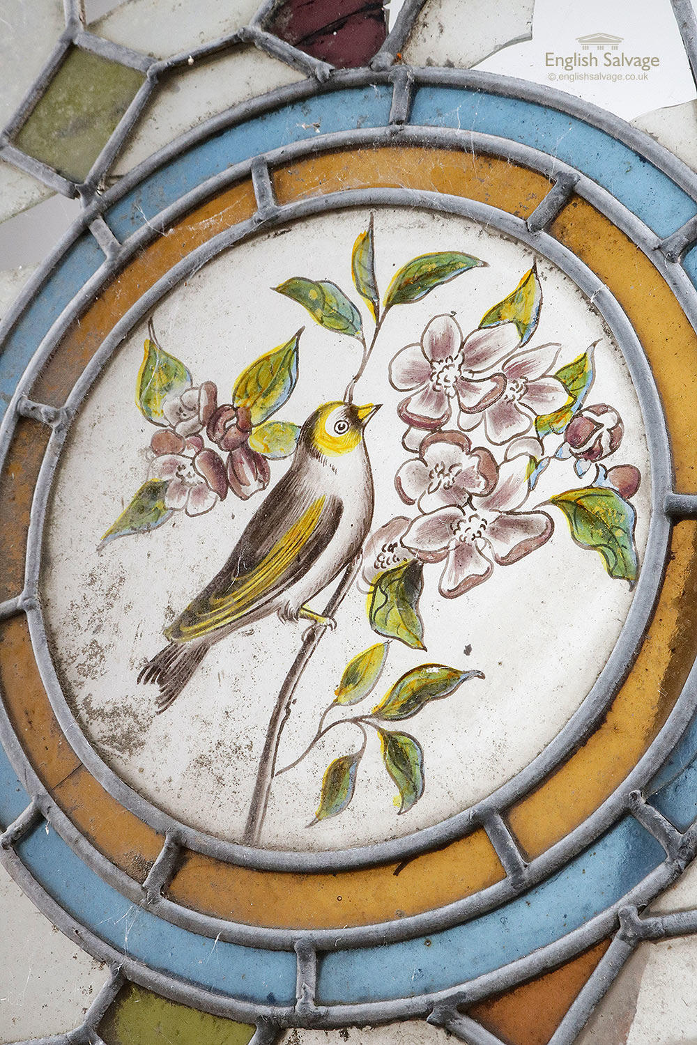 Antique handpainted bird stained glass