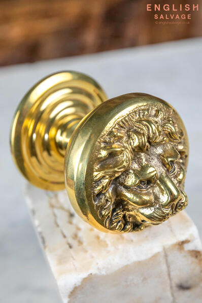 Brass lion centre door pull