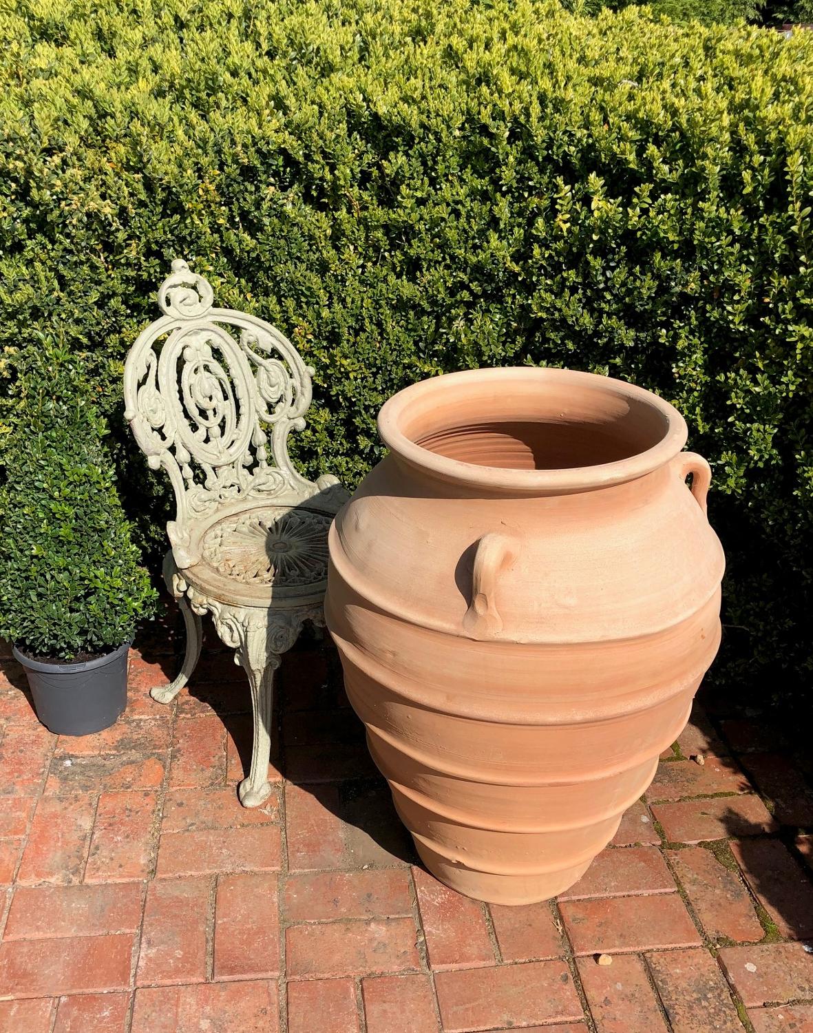Large Mediterranean style clay pots