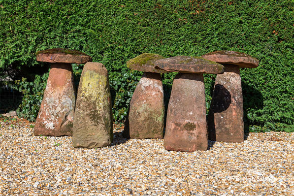 Original set of antique staddle stones