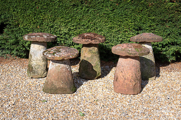 Original weathered staddle stones