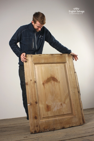 Part Stripped Single Panel/Cupboard Door