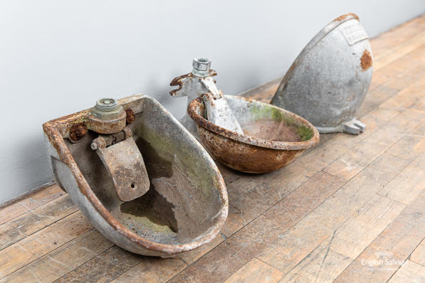 Salvaged galvanised iron cattle drinkers
