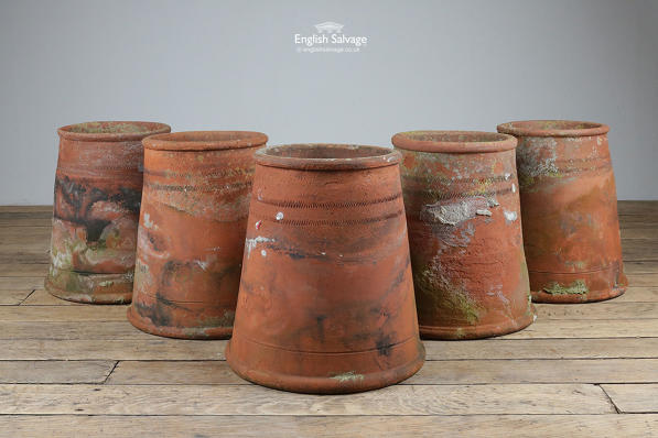Salvaged terracotta garden forcer pots